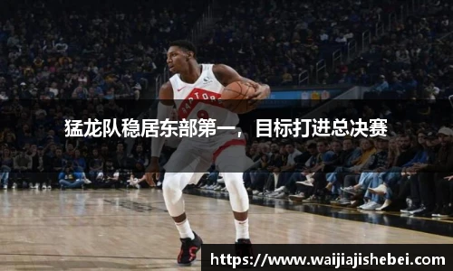 猛龙队稳居东部第一，目标打进总决赛
