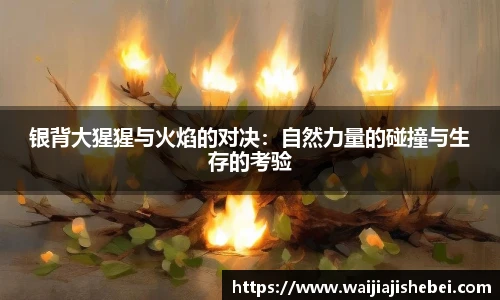 赏金船长官网入口