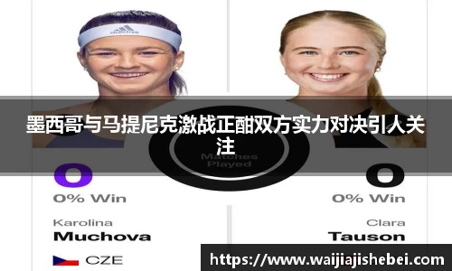 赏金船长官网入口