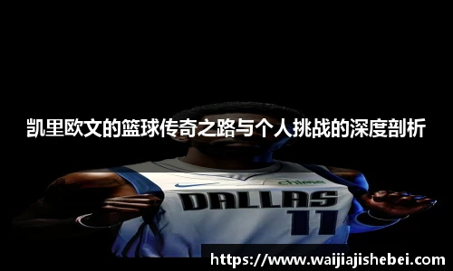 赏金船长网站