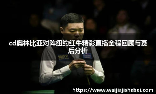赏金船长官网入口